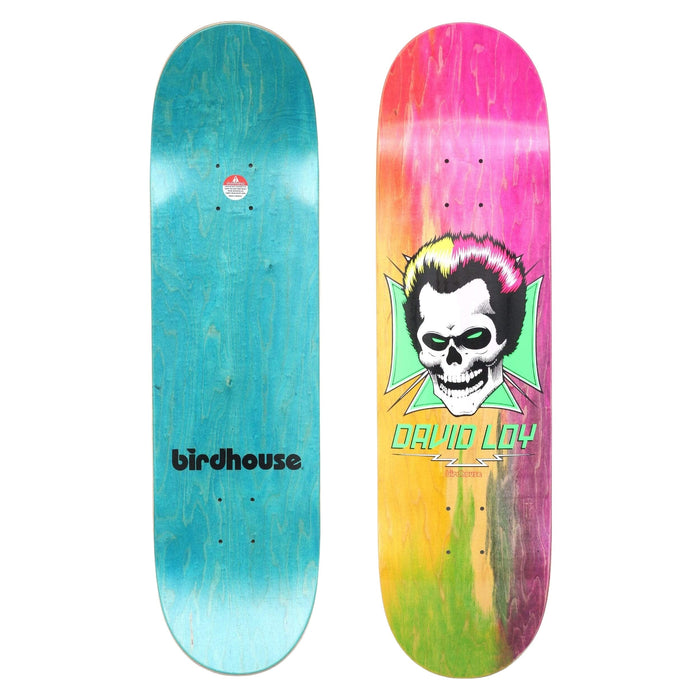 Birdhouse 8.38 Loy Skull Rainbow Skateboard Deck